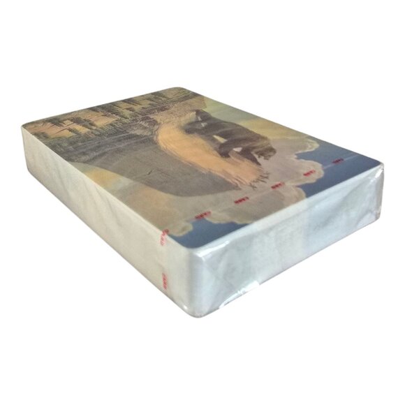 NEW Sealed America's First National Monument Devil's Tower Wyoming Playing Cards - Picture 5 of 9